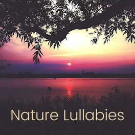 Album cover of Nature Lullabies: The Sound of Nature for Sleeping