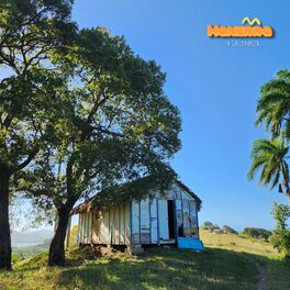 Album cover of En la Sombrita