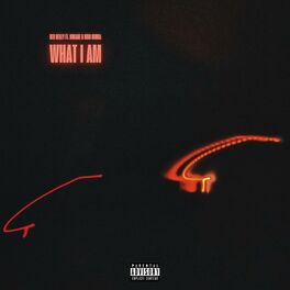 Album cover of What I Am (feat. Kokane & King Cobra)