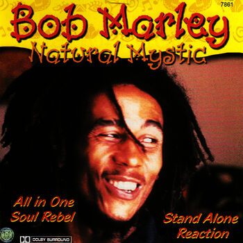 Bob Marley The Wailers Lively Up Yourself Listen With Lyrics Deezer