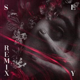 Album cover of Sexy (Remix)