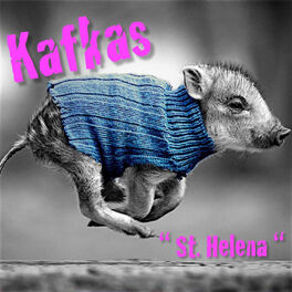 Album cover of St. Helena