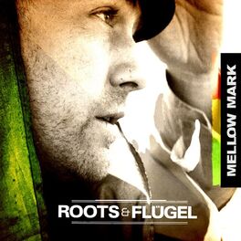 Album cover of Roots & Flügel