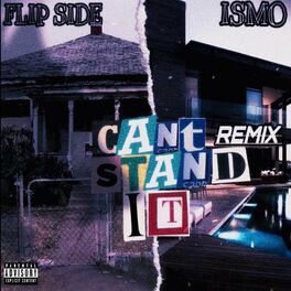 Album cover of CAN'T STAND IT (feat. Ismo) [Remix]