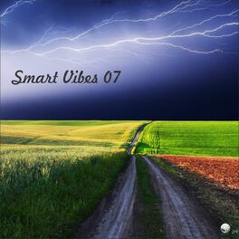 Album cover of Smart Vibes 07