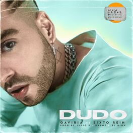 Album cover of Dudo