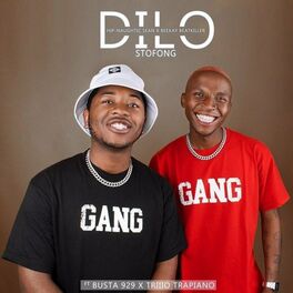 Album cover of Dilo Stofong