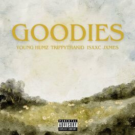 Album cover of Goodies (feat. JASON RICH)