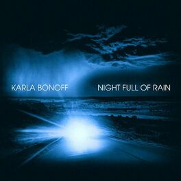 Album cover of Night Full of Rain