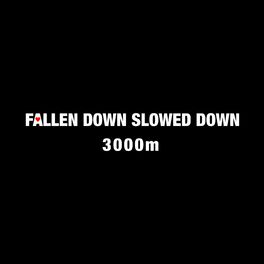Album cover of Fallen Down Slowed Down
