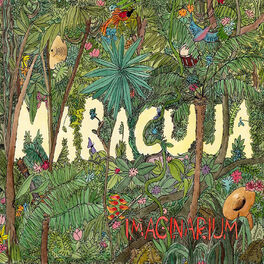 Album cover of Imaginarium