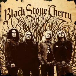 Album cover of Black Stone Cherry