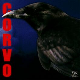 Album cover of Corvo