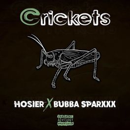 Album cover of Crickets