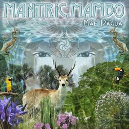 Album cover of Mae D'Agua