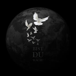 Album cover of Bist du wach? (Benefiz für Hanau) [feat. Nate57, Veysel, Sinan G, Kool Savas, NKSN, Rola, Disarstar, Maestro, Hanybal, Celo & Abdi
