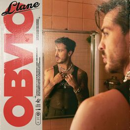 Album cover of Obvio