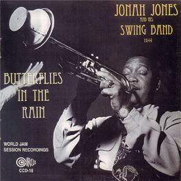 Album cover of Butterflies in the Rain