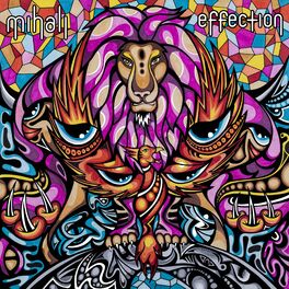 Album cover of Effection