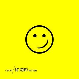Album cover of Not Sorry (feat. Packy)