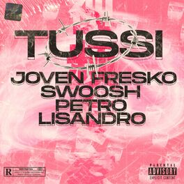 Album cover of Tussi