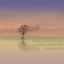 Album cover of Soothing & Sophisticated, Calming & Healing Tunes for Body & Soul
