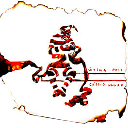 Album cover of Última pele