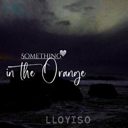 Album cover of Something in the Orange