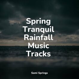 Album cover of Spring Tranquil Rainfall Music Tracks
