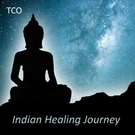 Album cover of Indian Healing Journey (2 Hours Relaxing Indian Music for Yoga and Meditation Performed on Indian Flutes, Tablas, Sitar, Dr