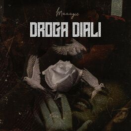 Album cover of DROGA DIALI