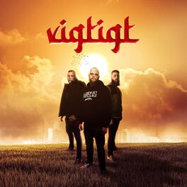 Album cover of Vigtigt