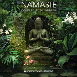 Album cover of Namaste