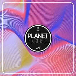 Album cover of Planet House 6.5