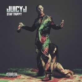 Album cover of Stay Trippy