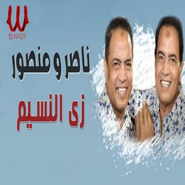 Album cover of زي النسيم