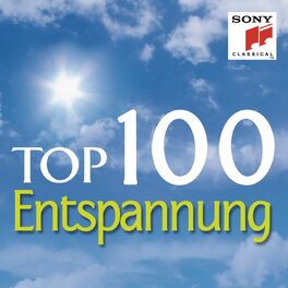 Album cover of Top 100 Entspannung