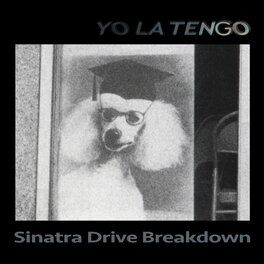 Album cover of Sinatra Drive Breakdown