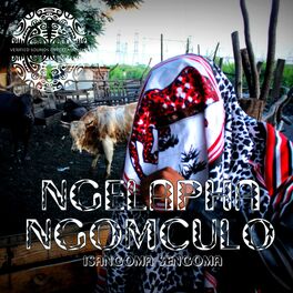 Album cover of Ngelapha Ngomculo
