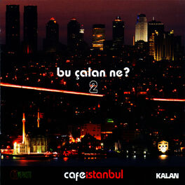Album cover of Bu Çalan Ne - No:2