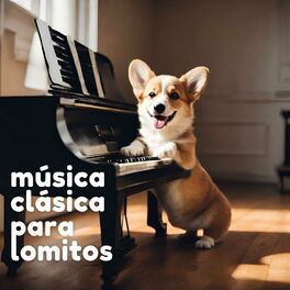 Album cover of Música para lomitos