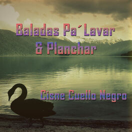 Album cover of Baladas Pa' Lavar & Planchar: Cisne Cuello Negro