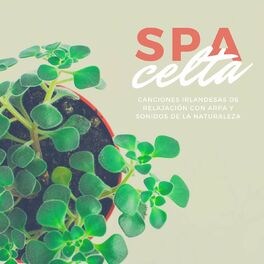 Album cover of Spa Celta: Canciones Irlandesas de Relajación con Arpa y Sonidos de la Naturaleza