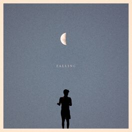 Album cover of falling