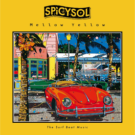SPiCYSOL: albums, songs, playlists | Listen on Deezer