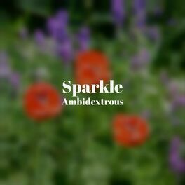 Album cover of Sparkle Ambidextrous