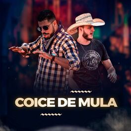 Album cover of Coice de Mula