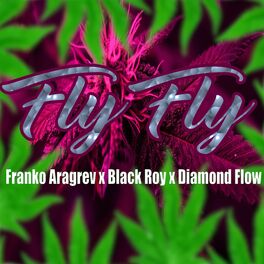 Album cover of Fly Fly