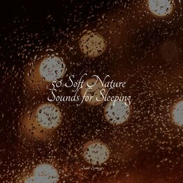 Album cover of 50 Soft Nature Sounds for Sleeping