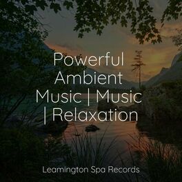 Album cover of Powerful Ambient Music | Music | Relaxation